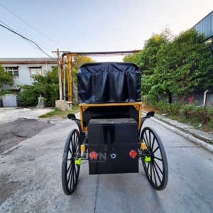 Carroza de Caballos Estilo Boda para Recorridos Turísticos en Parques, Carro Retro con Ruedas para Transporte Especial en Venta - Product Image 4
