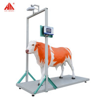 Plateforme de pesage numérique simple pour bétail, pour la vérification du poids des vaches