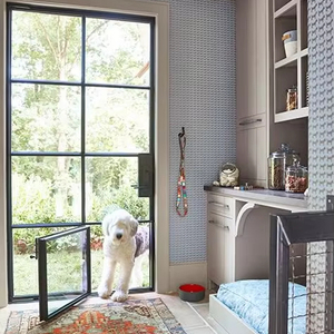 Puerta trasera de acero delgada-Diseño ultrafino + <span class=keywords><strong>Portal</strong></span> inteligente para mascotas | Reducción de ruido y aislamiento térmico - Product Image 1