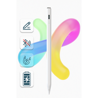 Lápiz Digital Activo WENKU WKZP010H al por Mayor con Logotipo Personalizado, Pantalla Digital, Primera Generación, Carga Rápida, Alta Sensibilidad y Anti-Tacto