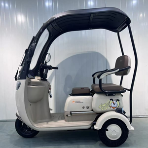 Sécurité de haute qualité et populaire trois roues <span class=keywords><strong>vélo</strong></span> électrique 2 <span class=keywords><strong>places</strong></span> <span class=keywords><strong>vélo</strong></span> électrique Tricycle électrique passager - Product Image 2