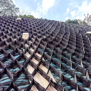 Géogrille en HDPE à <span class=keywords><strong>nid</strong></span> <span class=keywords><strong>d</strong></span>'abeilles pour le fond des hangars, grille industrielle pour <span class=keywords><strong>gravier</strong></span>, grille pour pavés de <span class=keywords><strong>voiture</strong></span>, grille pour gazon - Product Image 5