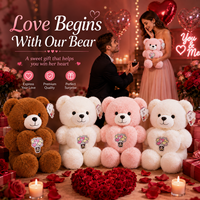 Ours en peluche personnalisé en gros pour la Saint-Valentin avec broderie de ballon cœur pour cadeau de demande en mariage