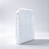 Sacs à valve inclinés en PE durables, taille personnalisée, résistants aux déchirures, sacs à valve d'angle haute intensité pour l'emballage de poudres alimentaires
