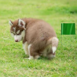 Nuevo Producto 2023, Venta al por Mayor, Impresión Personalizada, Barato, Cualquier Color, Bandera Personalizada Hecha en China, Banderas de Jardín, Marcadores de Césped - Product Image 4