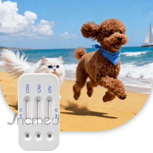 CDV CAV CIV 개 바이러스 신속 검출 키트 개 디스템퍼, 개 아데노바이러스, 개 인플루엔자 단일 검사 키트 - Product Image 1