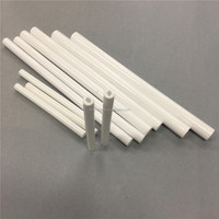Tube d'allumage en céramique d'alumine à 95 %, électrode Al2O3 pour brûleur d'allumage