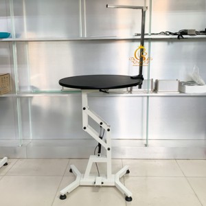 Tavolo Moderno in Metallo per Toelettatura Animali EUR PET con Sollevamento a Pressione d'Aria e Supporto Girevole per Cani e Gatti - Product Image 1