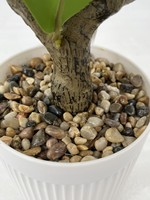 Lebensechte Kunst-Kamelie aus Polyester mit Echtem Gefühl, Topfpflanze mit Roten Knospen, Bonsai-Baum für den Tisch, Modern und Umweltfreundlich