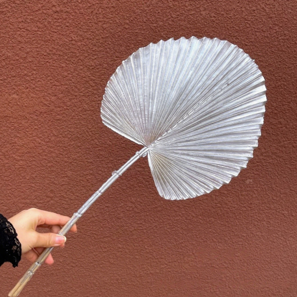 Un seul grand ventilateur de feuille de palmier
