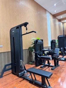 Nouvel équipement d'entraînement de force de la série TS de LAND incluant les exercices de flexions abdominales et les soulevés de bras assis/presse pectorale. - Product Image 4