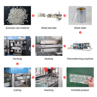 Machine de fabrication de contenants alimentaires en plastique transparent HIPS/PET/PS/PP/PVC entièrement automatique avec pompe à servomoteur Thermopole haute performance
