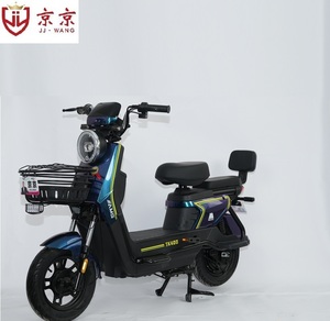 Vélo électrique à deux roues 48V 500W au <span class=keywords><strong>meilleur</strong></span> prix d'usine, le <span class=keywords><strong>meilleur</strong></span> <span class=keywords><strong>choix</strong></span> pour les adultes - Product Image 6