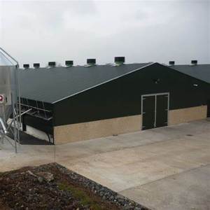 Estructuras <span class=keywords><strong>de</strong></span> granja avícola S, cobertizos para <span class=keywords><strong>cabras</strong></span>, vacas <span class=keywords><strong>lecheras</strong></span>, ovejas, pollos y patos, edificios <span class=keywords><strong>de</strong></span> granja, acero prefabricado para 10000 pollos - Product Image 6