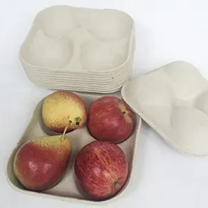 Compostable Dried Fruit Strawberry Tray Bagasse Pulp Fruit Vegetable Packaging Trays With Drain Hole