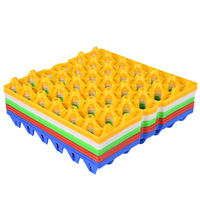 Plateau à oeufs en plastique transparent 30 trous le plus vendu plateau à oeufs en plastique coloré