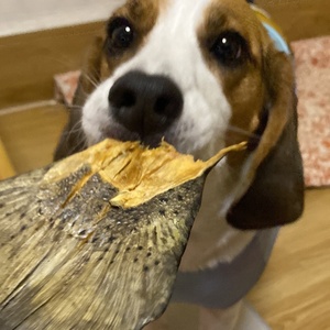 Golosinas para Perros de Cola de Salmón Liofilizada al por Mayor, Altas en Proteínas, Sin Granos, para Entrenamiento de Cachorros, Naturales y Sin Aditivos - Product Image 6