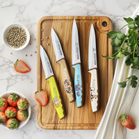 Ensemble de 4 couteaux à éplucher Little Cook, couteaux utilitaires et à fruits avec étuis, lames super affûtées et manches antidérapants colorés pour la maison