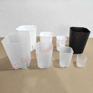 Gran oferta, macetas de plástico transparente grandes y altas, <span class=keywords><strong>maceta</strong></span> cuadrada para bonsái, planta suculenta, <span class=keywords><strong>maceta</strong></span> de flores de orquídeas, Kit para decoración de jardín y hogar - Product Image 2