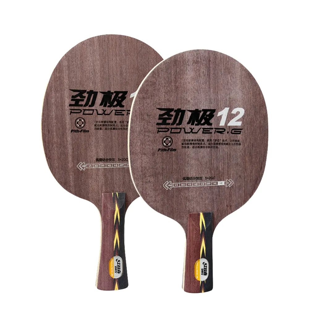 DHS güç G12 DHS ping pong ürünler 5 + 2GC fiberglas karbon masa tenisi Blade