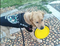 Gamelle en silicone pour chien Bols d'alimentation pour chien de voyage Chiens Chats Fournitures Alimentation Conteneur d'eau Pliant Accessoires pour animaux de compagnie