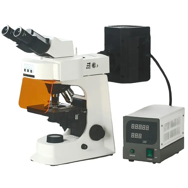 Microscopio Fluorescente de Investigación 40x-1000x, Microscopio Educativo de Investigación, 1 Unidad