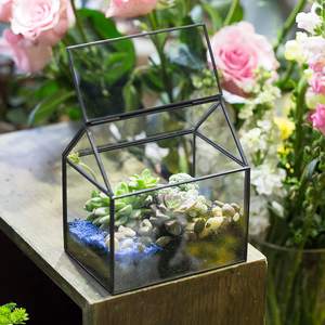 Hot Selling Sukkulenten Moos Farn Pflanze Glas <span class=keywords><strong>Terrarium</strong></span> Kleine Schwarz gold Hausform Glas Schließen <span class=keywords><strong>Terrarium</strong></span> mit Schaukel deckel - Product Image 3