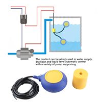 Capteur de niveau d'eau liquide 220V 16A 2m/78.7" avec contrôleur pour pompe de réservoir