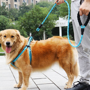 Fabrika özel Logo akıllı güçlü su geçirmez rahat büyük yansıtıcı naylon yuvarlak halat köpek evcil hayvan tasması - Product Image 5