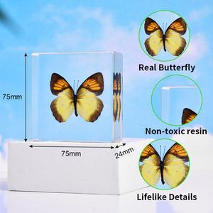 فراشة حقيقية مغلفة بعينات بيولوجية محفوظة من راتنج الكريستال لديكور المنزل وعيد الميلاد للعام الجديد - Product Image 3