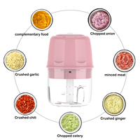 Portable sans BPA hachoir alimentaire 250ml en acier inoxydable USB recharge robot culinaire électrique hachoir ail hachoir