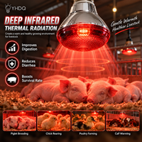 Ampoule chauffante infrarouge E27 étanche IP65 en verre de quartz anti-explosion pour porcelets, poussins et volailles 100W-275W