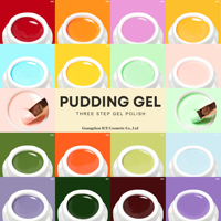 ICE NOVA Marque Privée 61 Couleurs Gel Polish Solide Effet Pudding Tendance Mode Gel Polish Solide Effet Macaron