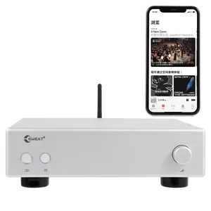 Eweat pemutar HiFi musik Digital, dekoder Audio Jaringan DSD BT 52 penerima PCM 44.1-192KHz