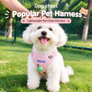 Harnais pour chien motif ours de dessin animé mignon avec clochette, ensemble gilet et laisse, poignée en mousse souple, laisse de promenade pour petit chiot, Bichon, Teddy - Product Image 6