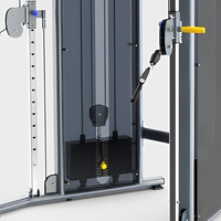 Machine à poulies double réglable professionnelle robuste pour entraînement fonctionnel en salle de sport FF17