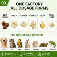 Glucosamine Chondroïtine Mureaux Verts à Croquer pour Chiens avec Curcuma Absorption Rapide Soin des Articulations OEM