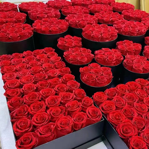 Scatola in Velluto con Coperchio per <span class=keywords><strong>Rosa</strong></span> Eterna Preservata, <span class=keywords><strong>Rosa</strong></span> Antico, Fiore Vero per Sempre, Ideale per Laurea, Natale, Ringraziamento, Capodanno, San Valentino - Product Image 5