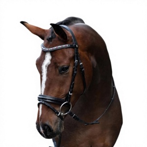 Premium Quality Durable <b>Leather</b> Horse Bridle Western Saddle Full Size Custom Packaging Hand <b>Tooled</b> by Equestrian Suppliers - Product Image 3