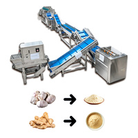 Ligne de traitement de la poudre d'ail et de la poudre de gingembre, machine de lavage et de broyage d'ail et de curcuma, prix