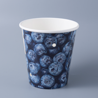 12oz 18oz 20oz Fruit Papieren Schaal Fruit Papieren Bakje met gaten voor Blauwe Bessen