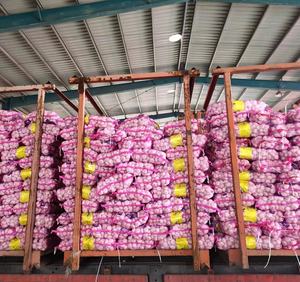 中国供应商以低廉的价格批发优质新鲜蔬菜大蒜 - Product Image 2