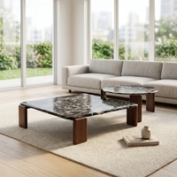 Ensemble de 2 tables basses gigognes de luxe moderne avec plateau en placage de pierre translucide rétroéclairé et pieds en bois massif, assemblage KD, pour salon, direct usine