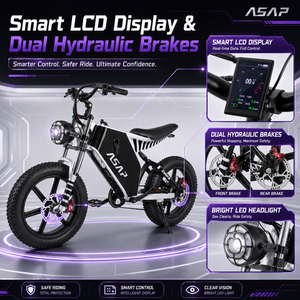 Vélo tout-terrain adulte 20 pouces avec pneus larges, suspension intégrale, batterie au lithium, cadre en aluminium, moteur 1000W, livraison rapide, Zebra Electri - Product Image 2