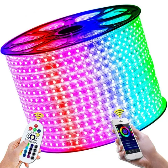 Hoge Helderheid Outdoor Waterdichte Smd 5050 3528 Flexibele Rgb Led Light Strip 220V 110V 60Leds/M tape Touw Licht Voor Home Decor