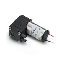Custom Pump Head Orientation Mini air Pump Anti-explosion Dc 3.3V Micro air Vacuum Pump for Portable VOC Sampling Instrument