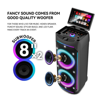 Hoxen P-2801 Enceinte de karaoké de fête 100W Écran de 11,6 pouces 2*8 caissons de basses + 2 micros sans fil + 8 modes d'éclairage LED