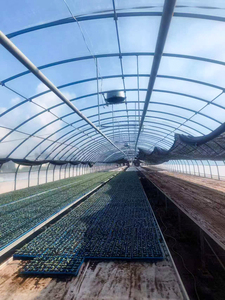 دفيئات زراعية ونفق زراعي من البلاستيك لزراعة الطماطم للبيع - Product Image 4