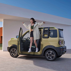 Geely Panda 2024, Auto Elettrica a Quattro Ruote e Quattro Posti, Veicolo a Nuova Energia per Adulti, Mini Auto Elettrica Geely Panda 2025 in Offerta - Product Image 3