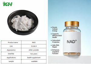 NAD ad Alta Purezza 99% CAS 53-84-9 Beta-Nicotinamide Adenina Dinucleotide Premium per il Metabolismo Energetico Cellulare - Product Image 4
